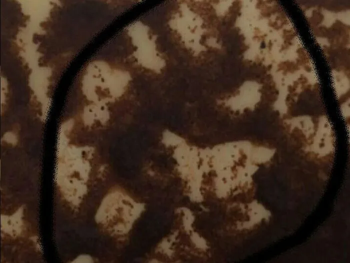 Запись на прием к гадалке в Смоленске